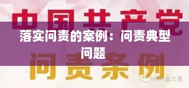 落实问责的案例：问责典型问题 