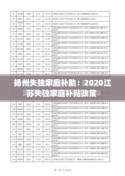 扬州失独家庭补助：2020江苏失独家庭补贴政策 