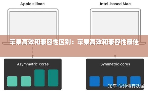 苹果高效和兼容性区别：苹果高效和兼容性最佳 