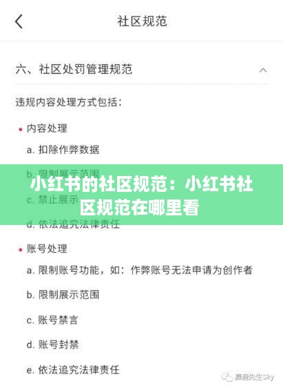 小红书的社区规范：小红书社区规范在哪里看 