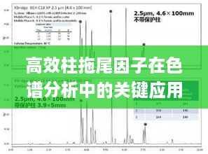 见仁见智 第2页