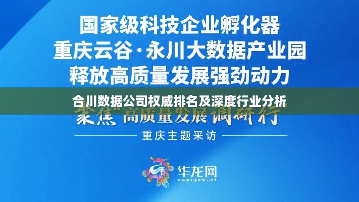 合川数据公司权威排名及深度行业分析