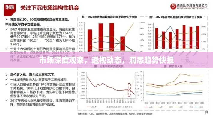 市场深度观察，透视动态，洞悉趋势快报