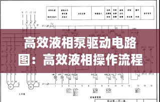 高效液相泵驱动电路图：高效液相操作流程图 