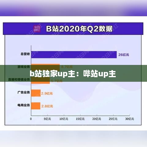 b站独家up主：哔站up主 