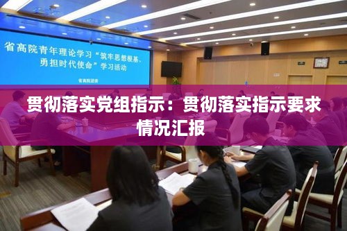 贯彻落实党组指示：贯彻落实指示要求情况汇报 