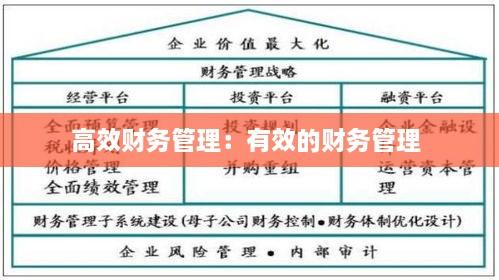 高效财务管理：有效的财务管理 