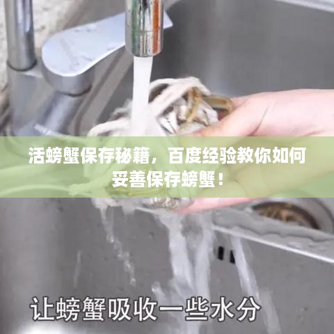 有气无力 第2页