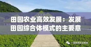 田园农业高效发展：发展田园综合体模式的主要意义 