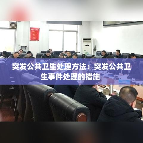 突发公共卫生处理方法：突发公共卫生事件处理的措施 