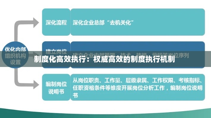 制度化高效执行：权威高效的制度执行机制 