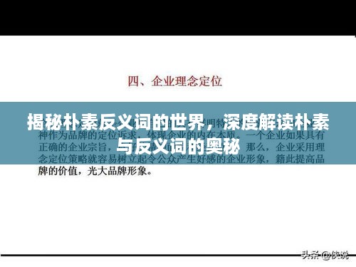 揭秘朴素反义词的世界，深度解读朴素与反义词的奥秘