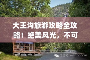 大王沟旅游攻略全攻略！绝美风光，不可错过的旅行体验！