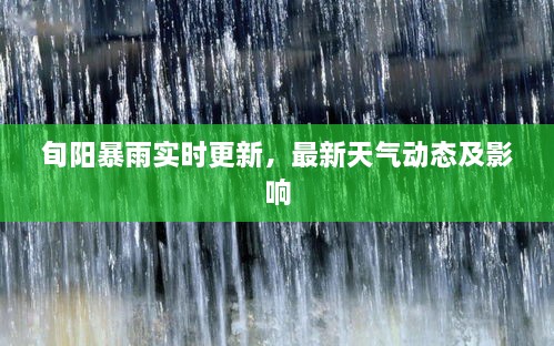 旬阳暴雨实时更新，最新天气动态及影响