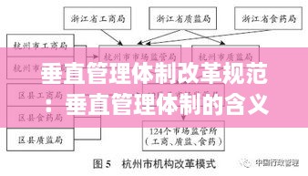 垂直管理体制改革规范：垂直管理体制的含义 