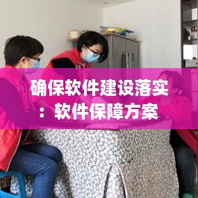 确保软件建设落实：软件保障方案 