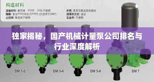 独家揭秘，国产机械计量泵公司排名与行业深度解析