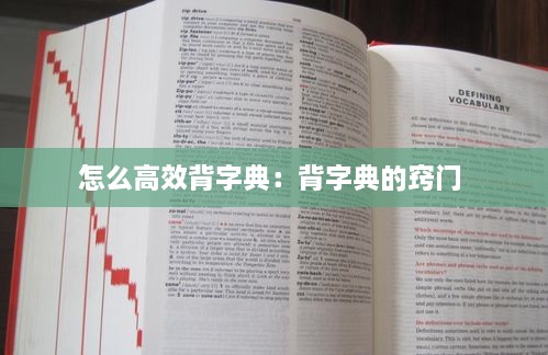 怎么高效背字典：背字典的窍门 