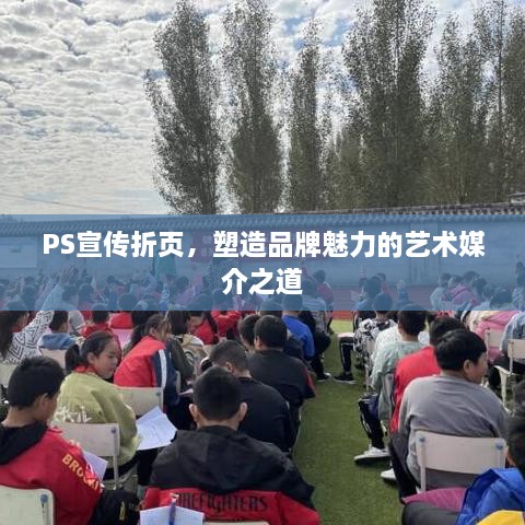 PS宣传折页，塑造品牌魅力的艺术媒介之道