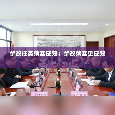 整改任务落实成效：整改落实见成效 