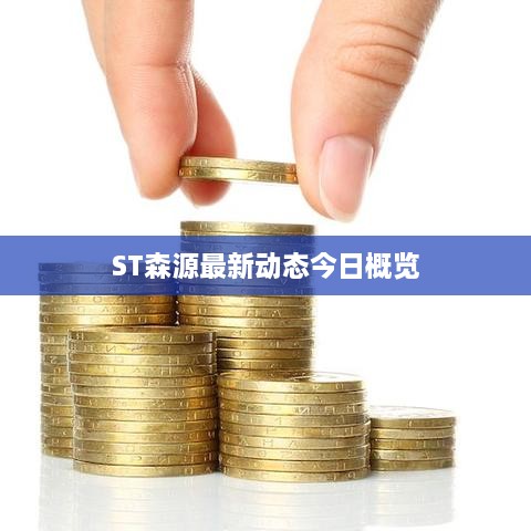 ST森源最新动态今日概览