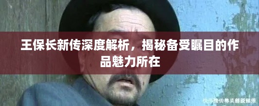 王保长新传深度解析，揭秘备受瞩目的作品魅力所在