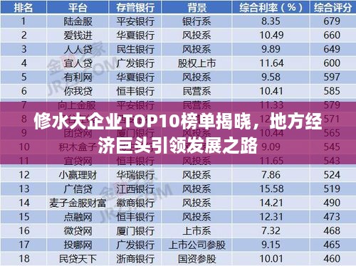 修水大企业TOP10榜单揭晓，地方经济巨头引领发展之路