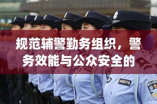 规范辅警勤务组织，警务效能与公众安全的提升之道