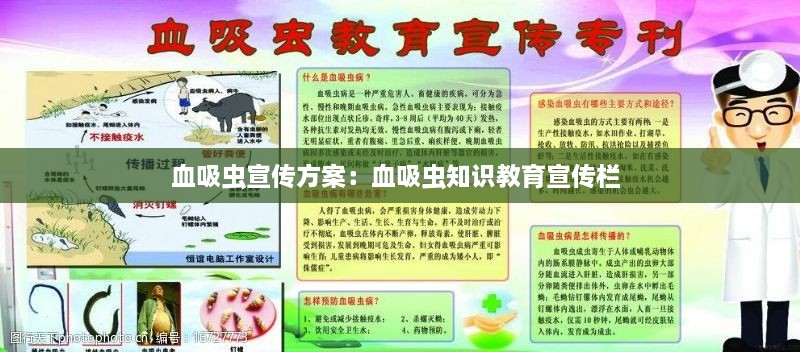 血吸虫宣传方案：血吸虫知识教育宣传栏 