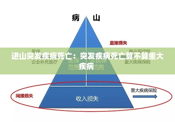 进山突发疾病死亡：突发疾病死亡算不算重大疾病 