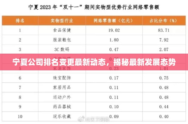 宁夏公司排名变更最新动态，揭秘最新发展态势