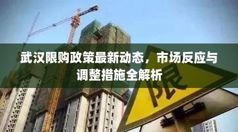 武汉限购政策最新动态，市场反应与调整措施全解析