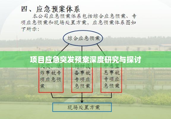 项目应急突发预案深度研究与探讨