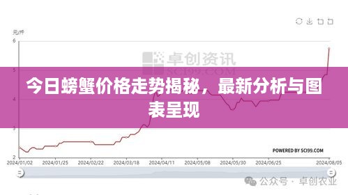 今日螃蟹价格走势揭秘，最新分析与图表呈现