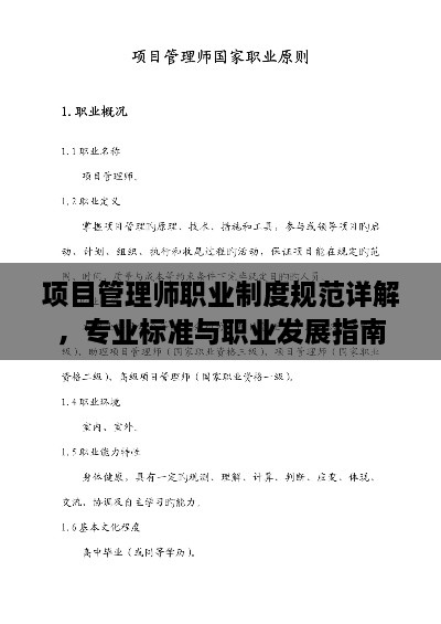 项目管理师职业制度规范详解，专业标准与职业发展指南