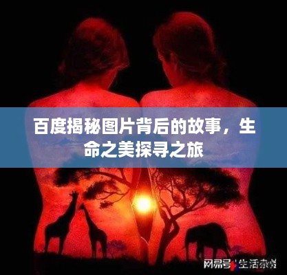 百度揭秘图片背后的故事，生命之美探寻之旅