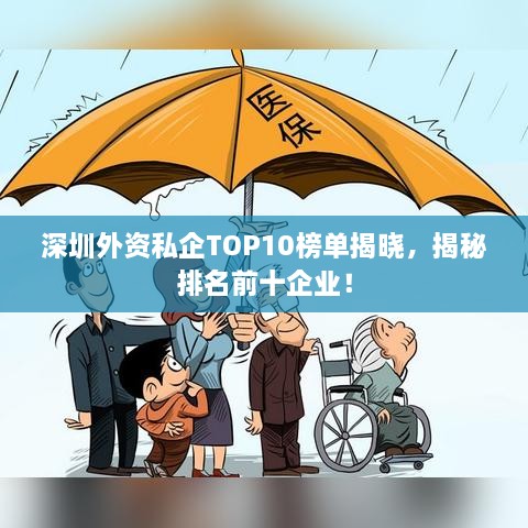 深圳外资私企TOP10榜单揭晓，揭秘排名前十企业！