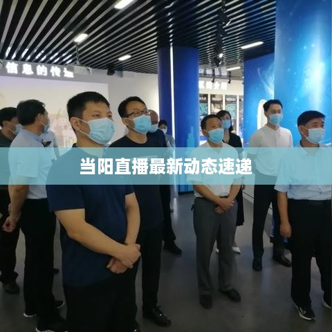 当阳直播最新动态速递