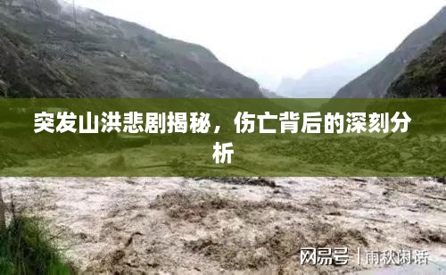 突发山洪悲剧揭秘，伤亡背后的深刻分析