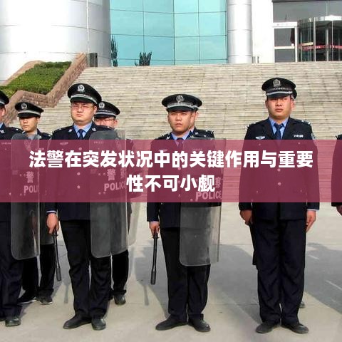 法警在突发状况中的关键作用与重要性不可小觑