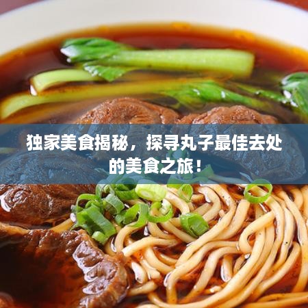 独家美食揭秘，探寻丸子最佳去处的美食之旅！