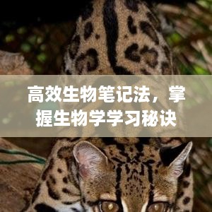 高效生物笔记法，掌握生物学学习秘诀