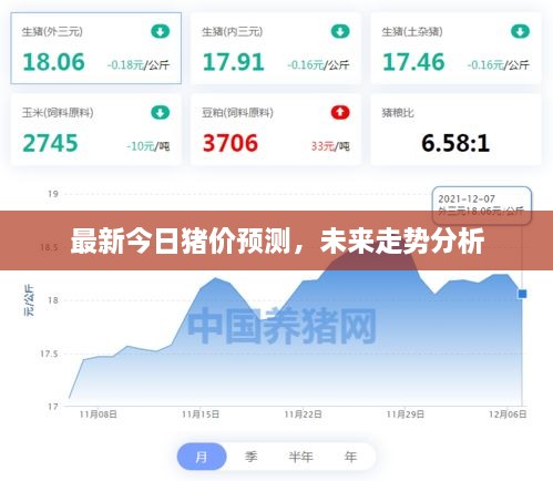 最新今日猪价预测，未来走势分析