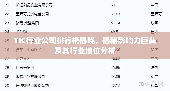 TIC行业公司排行榜揭晓，揭秘影响力巨头及其行业地位分析