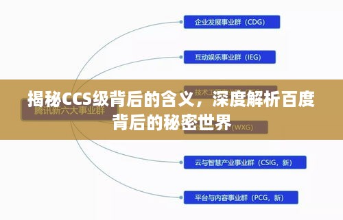 揭秘CCS级背后的含义，深度解析百度背后的秘密世界