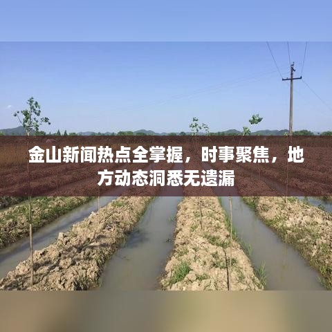 金山新闻热点全掌握，时事聚焦，地方动态洞悉无遗漏