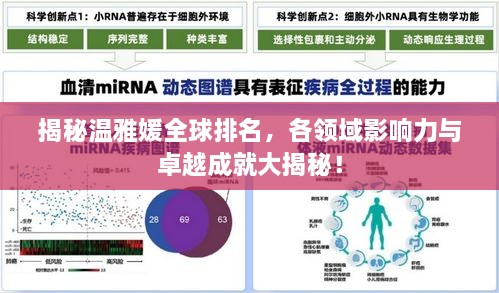 揭秘温雅媛全球排名，各领域影响力与卓越成就大揭秘！