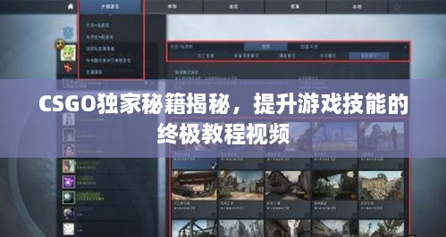 CSGO独家秘籍揭秘，提升游戏技能的终极教程视频