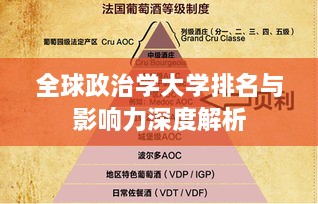 全球政治学大学排名与影响力深度解析