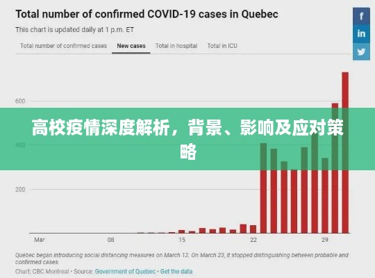 高校疫情深度解析，背景、影响及应对策略